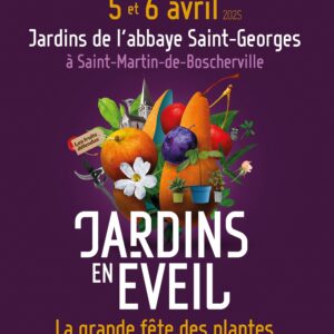 Abbaye Saint Georges
